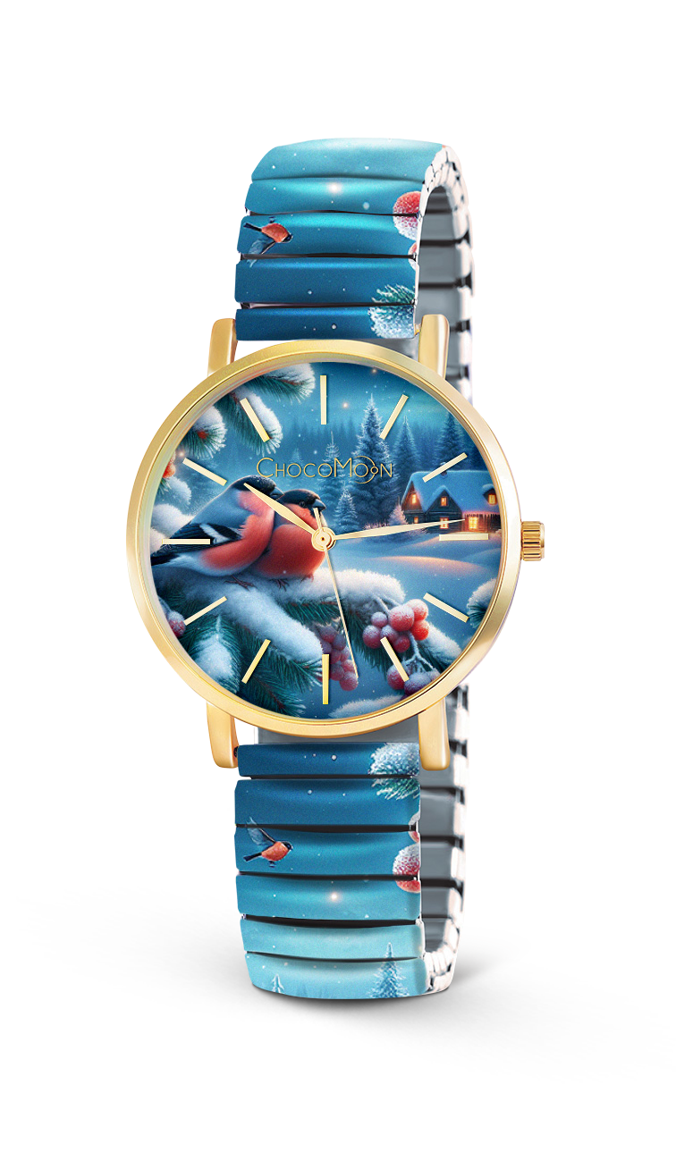 Winter Time watch 4